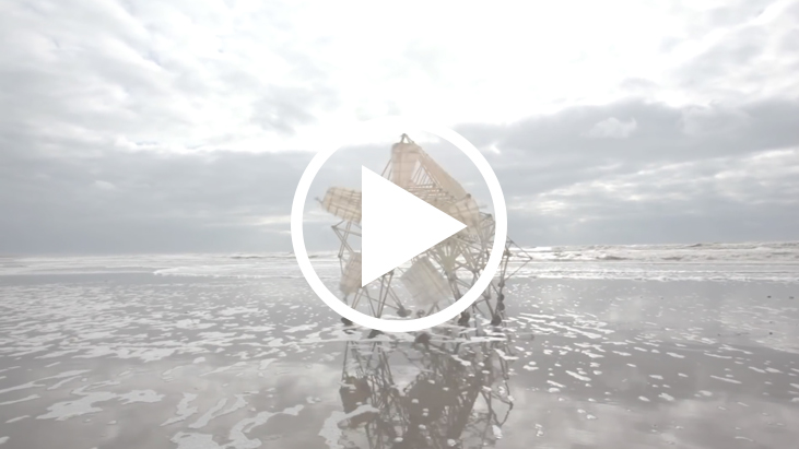 STRANDBEEST EVOLUTION 2017