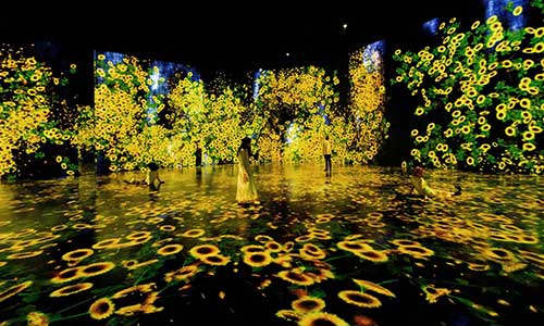 Flowers and People cannot be controlled but live together- trascending boundaries, a whole year per hour. | teamLab.